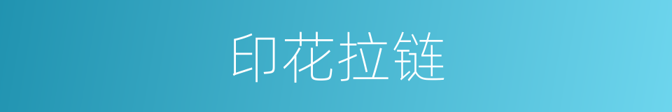 印花拉链的同义词