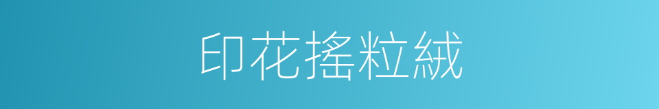 印花搖粒絨的同義詞