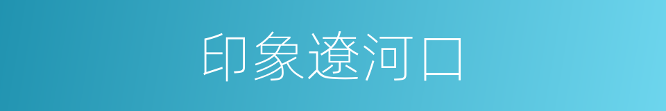 印象遼河口的同義詞