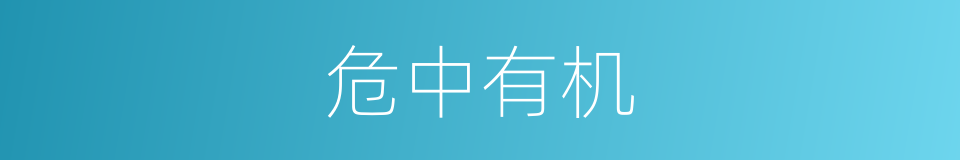 危中有机的同义词