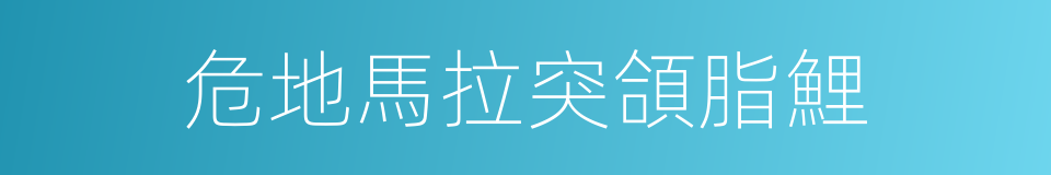 危地馬拉突頜脂鯉的同義詞