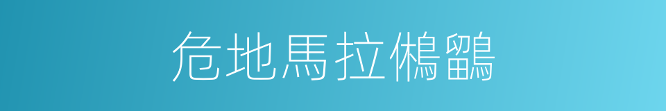 危地馬拉鵂鶹的同義詞