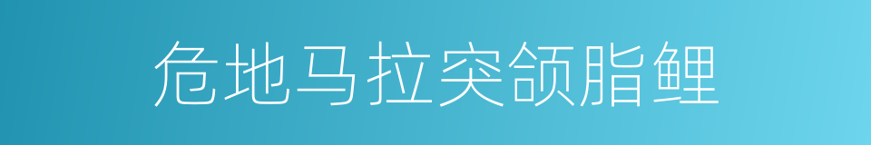 危地马拉突颌脂鲤的同义词