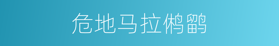 危地马拉鸺鹠的同义词