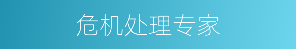危机处理专家的同义词