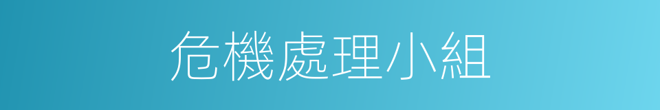 危機處理小組的同義詞