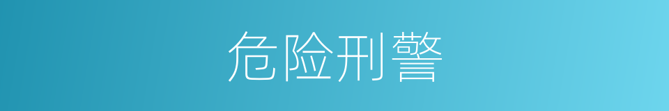 危险刑警的同义词