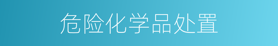危险化学品处置的同义词
