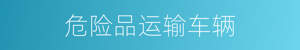 危险品运输车辆的同义词