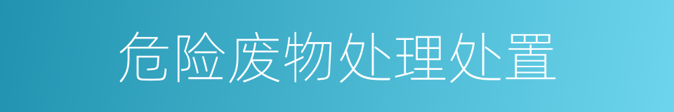 危险废物处理处置的同义词