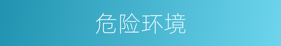 危险环境的同义词
