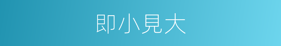 即小見大的意思