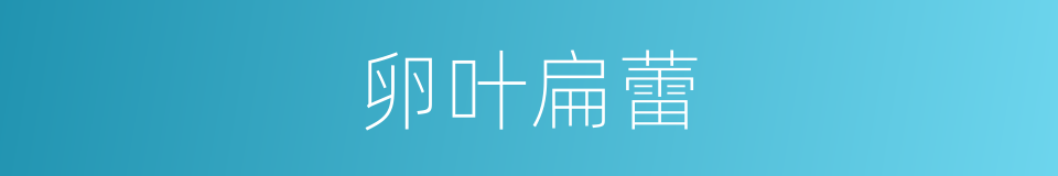 卵叶扁蕾的同义词