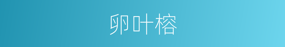 卵叶榕的同义词