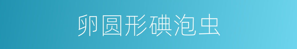 卵圆形碘泡虫的同义词