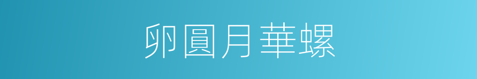 卵圓月華螺的同義詞