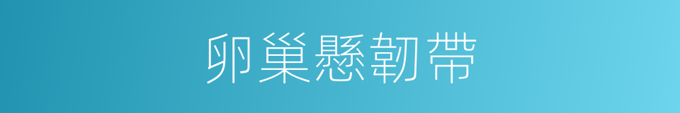 卵巢懸韌帶的同義詞