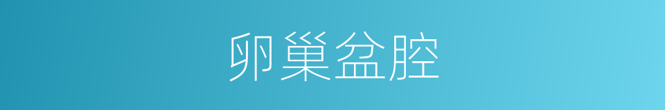 卵巢盆腔的同义词