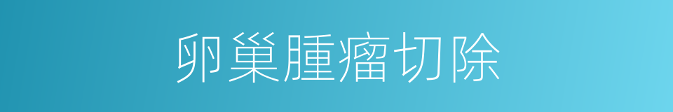 卵巢腫瘤切除的同義詞