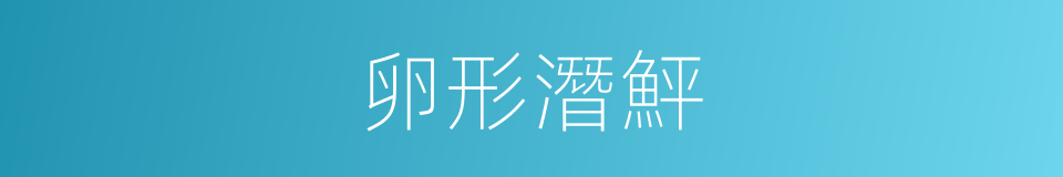 卵形潛鮃的同義詞