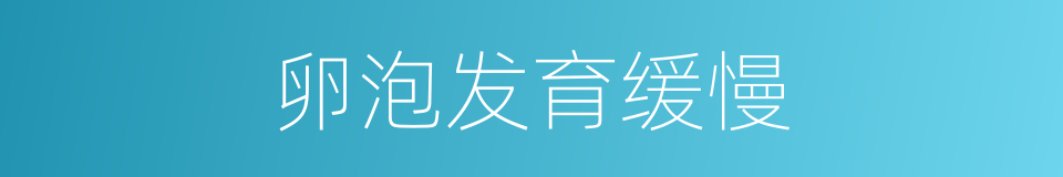 卵泡发育缓慢的同义词