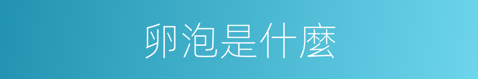 卵泡是什麼的意思