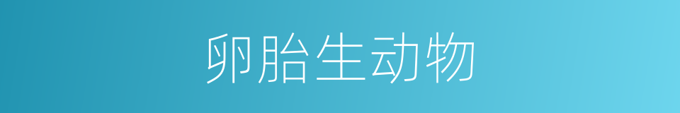 卵胎生动物的同义词