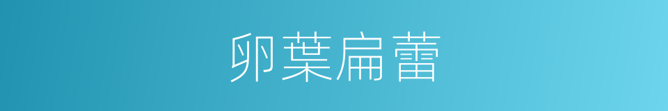 卵葉扁蕾的同義詞