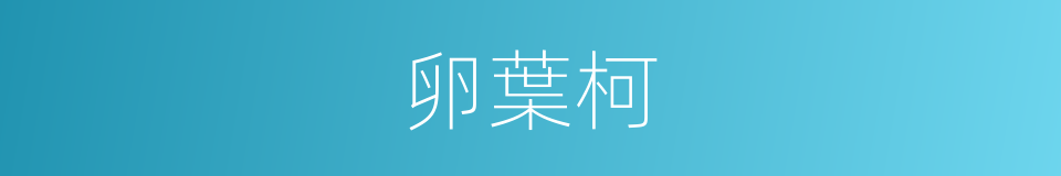 卵葉柯的同義詞