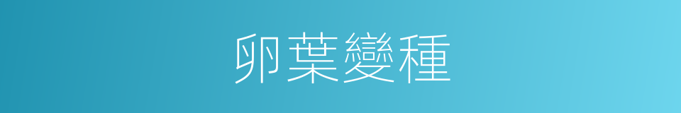 卵葉變種的同義詞