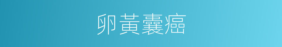 卵黃囊癌的同義詞