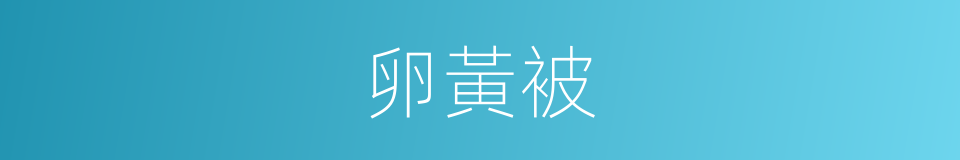 卵黃被的同義詞