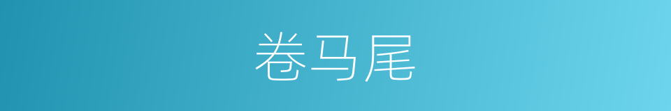 卷马尾的同义词