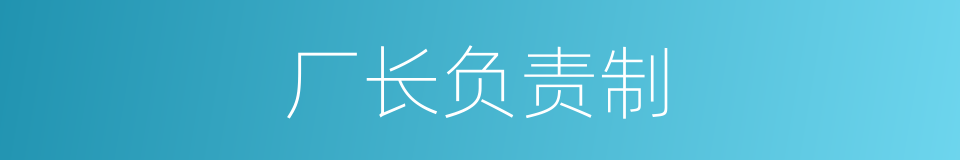 厂长负责制的同义词