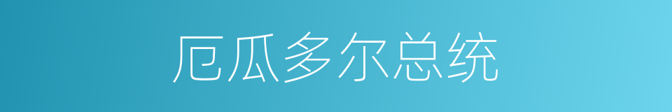 厄瓜多尔总统的同义词