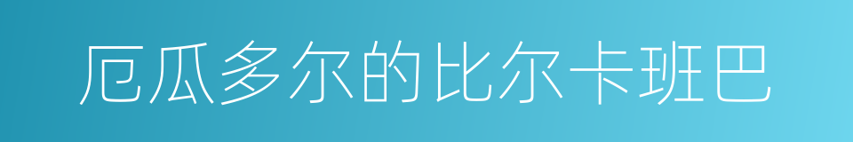 厄瓜多尔的比尔卡班巴的同义词