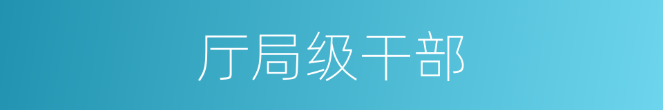 厅局级干部的同义词