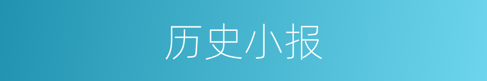 历史小报的意思