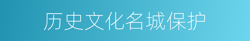 历史文化名城保护的同义词