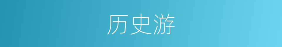 历史游的同义词