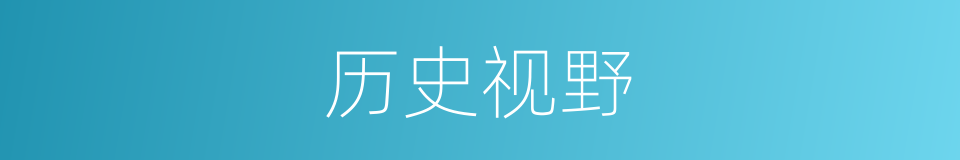 历史视野的同义词