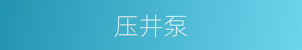 压井泵的同义词