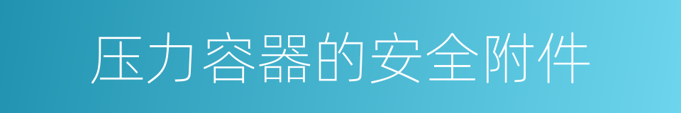 压力容器的安全附件的同义词