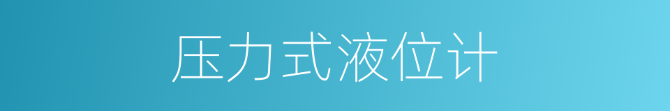 压力式液位计的同义词