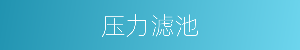压力滤池的同义词