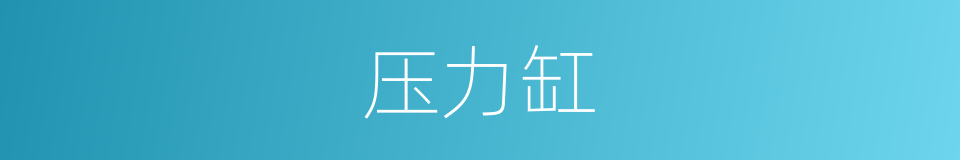 压力缸的同义词