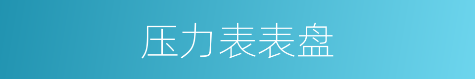 压力表表盘的同义词