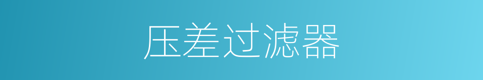 压差过滤器的同义词