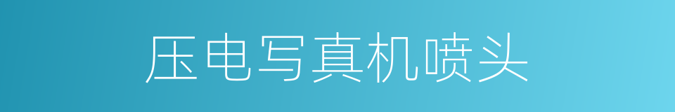 压电写真机喷头的同义词