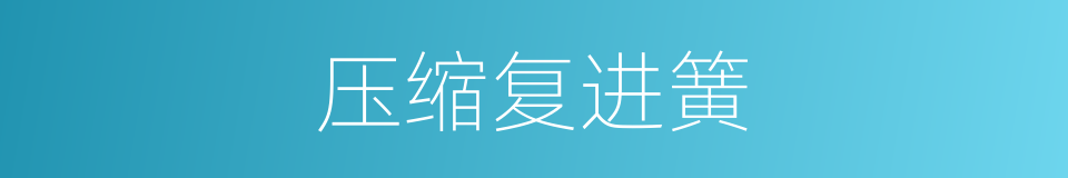 压缩复进簧的同义词